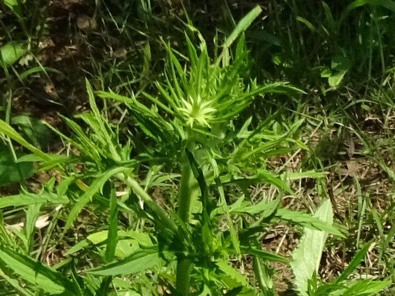 ���}�S�{�E�i�R����j=�����A�U�~